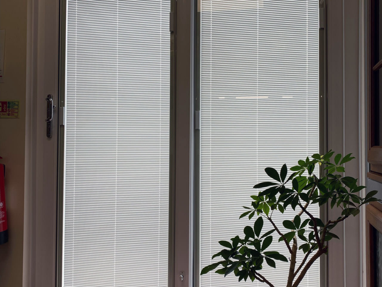 Pros & Cons of Windows Built-in Blinds
