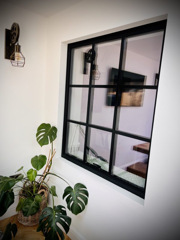 Crittall style window with plant